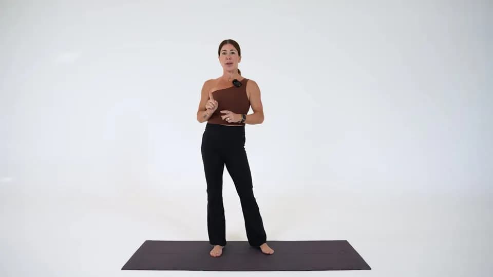 Nervous System Reset