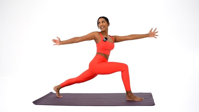 Seated Eagle Arms demonstrated by Mish Naidoo